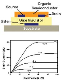 Schematic of an organic thin film transistor