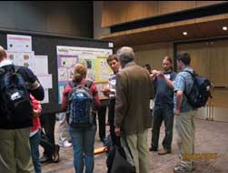 More activity during the poster sessions!