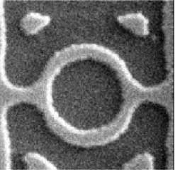 Spin interference in GaAs 2D holes 