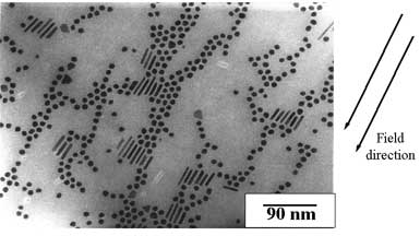 Transmission electron microscope image of chemically produced cobalt nanomagnets in the form of spheres and rods.