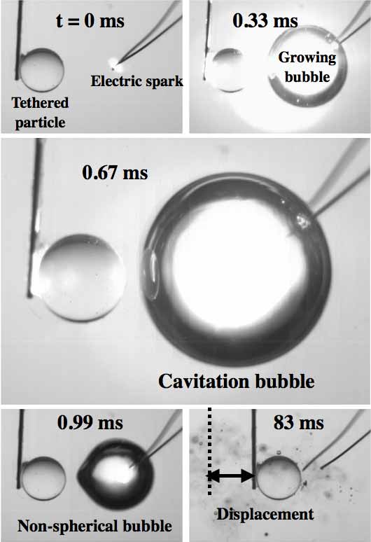Cavitation bubbles and Tethered Particles
