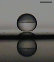 Millimetric water droplet in Leidenfost state, on a silicon plate at T=400°C (image from A.L Biance)