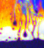 A close up of a draining magnetic film showing reverse marginal regeneration. Photo courtesy of the MEC Lab.